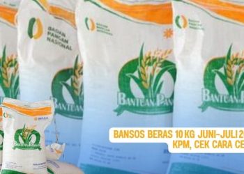 Bansos Beras 10 kg Juni–Juli 2025 untuk 18,3 juta KPM, Cek Cara Ceknya